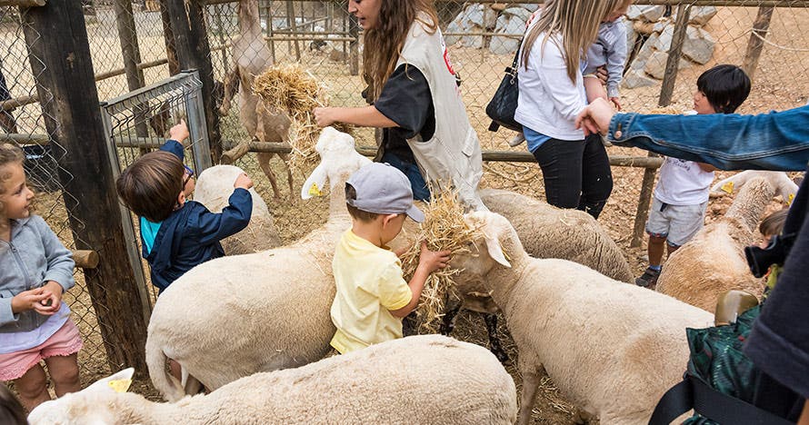 Granja Aventura Park: un día bestialmente divertido en la naturaleza