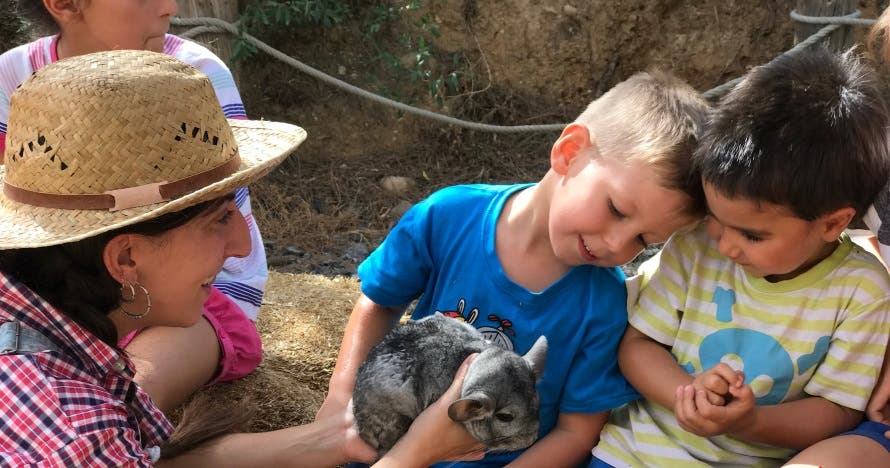 Granja Aventura Park: un día bestialmente divertido en la naturaleza