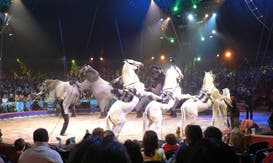 Gran Circo Mundial