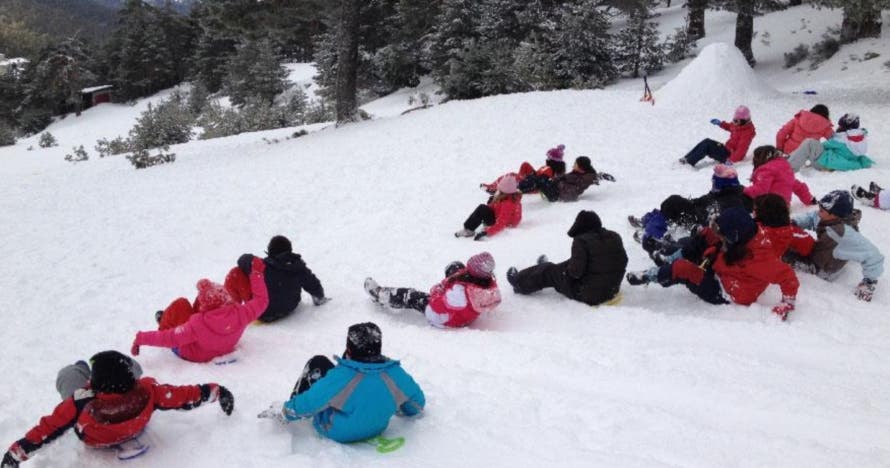 Aventura en la nieve: raquetas, iglú y trineo. ¡Diviértete en familia!