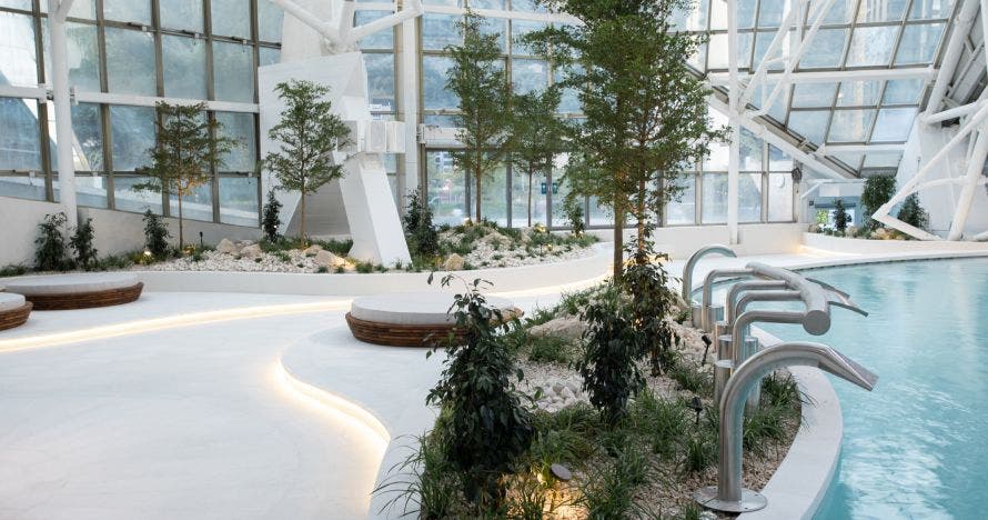 Acceso Classic + Comida en Caldea