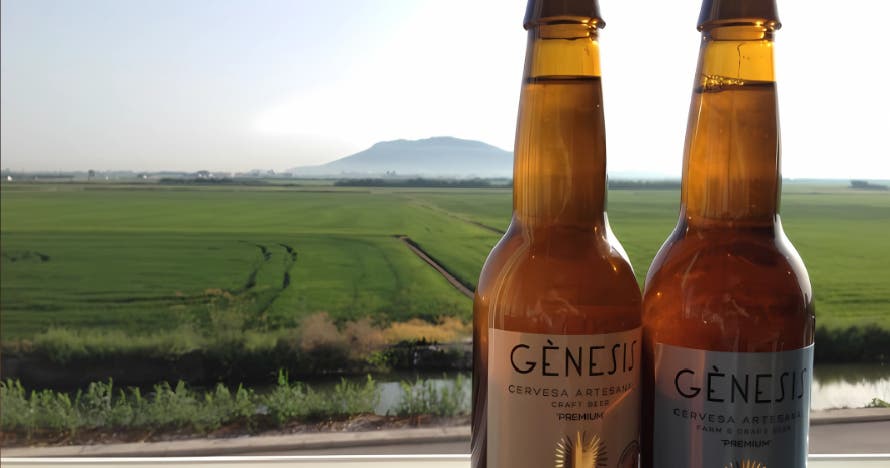 Experiencia gourmet: visita fábrica, cata cervezas y maridaje