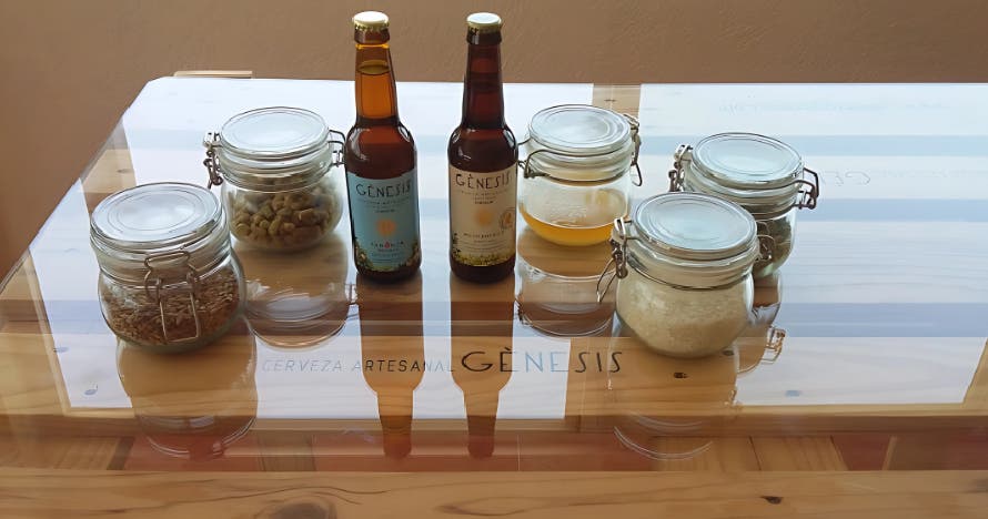 Experiencia gourmet: visita fábrica, cata cervezas y maridaje