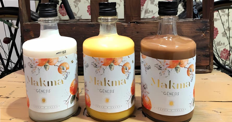 Experiencia gourmet: visita fábrica, cata cervezas y maridaje