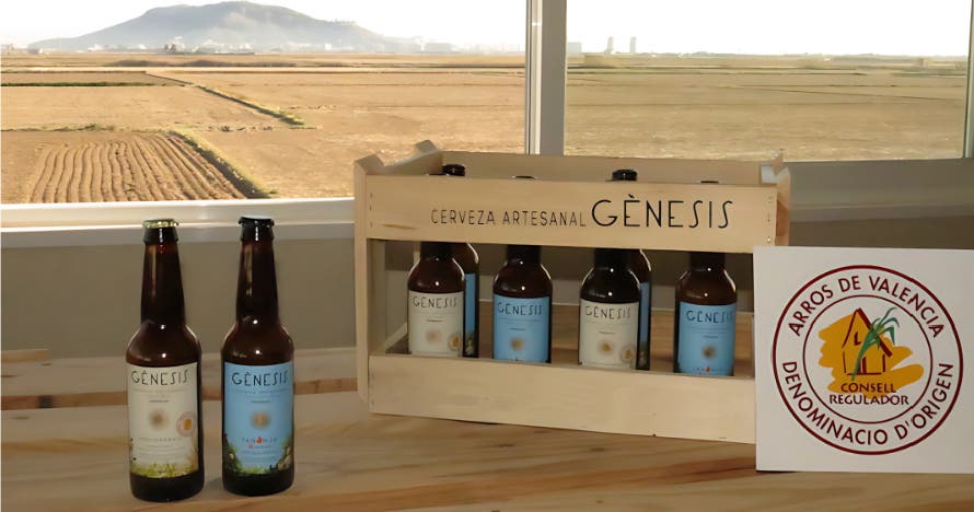 Experiencia gourmet: visita fábrica, cata cervezas y maridaje