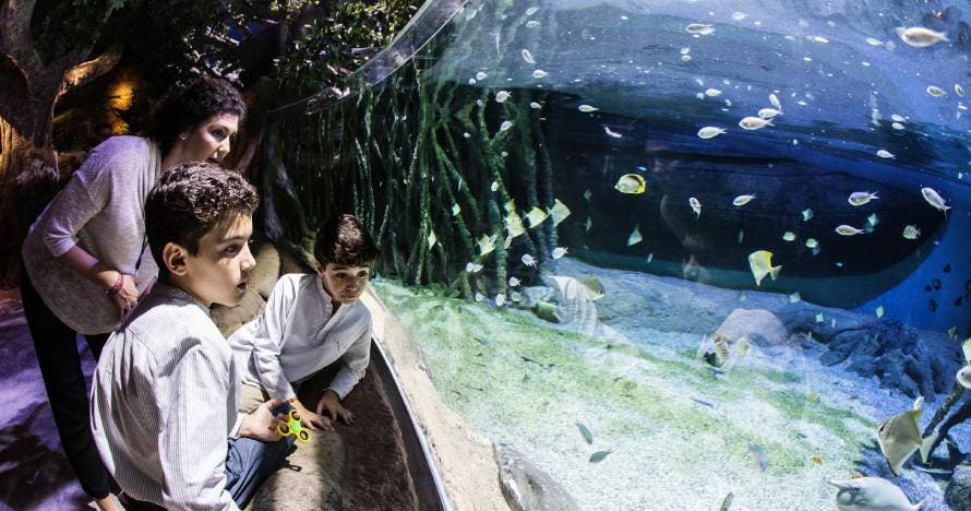Acuario de Sevilla