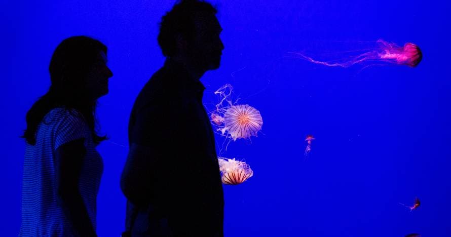 Acuario de Sevilla
