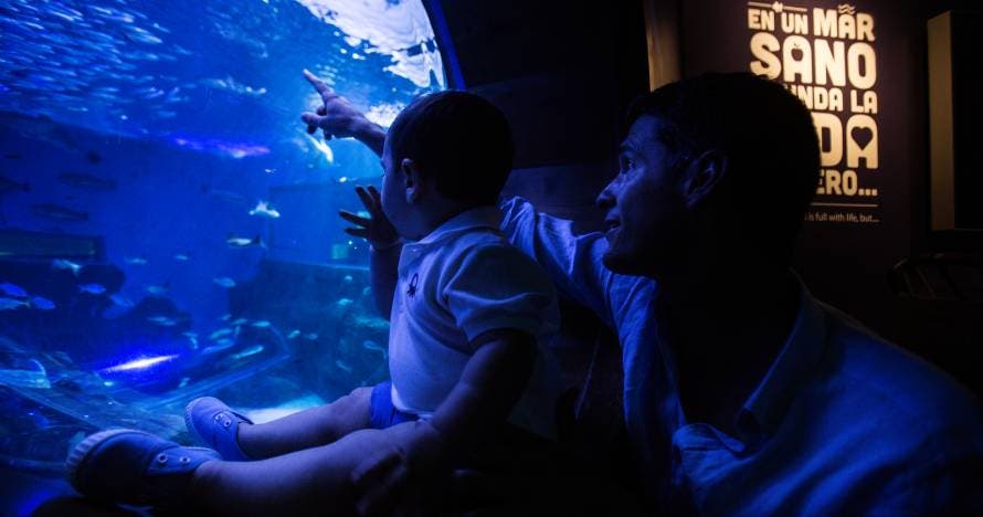 Acuario de Sevilla