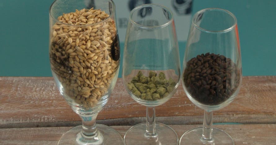 Visita Microcervecería Espiga con degustación