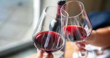 Iniciacin a la cata de vinos