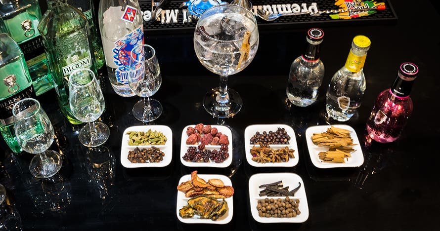 Taller de gin-tonic: Descubre el arte de preparar las copas perfectas
