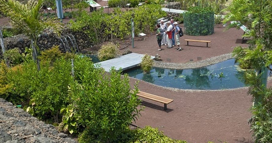 Pirámides de Güímar Parque Etnográfico y Jardín Botánico