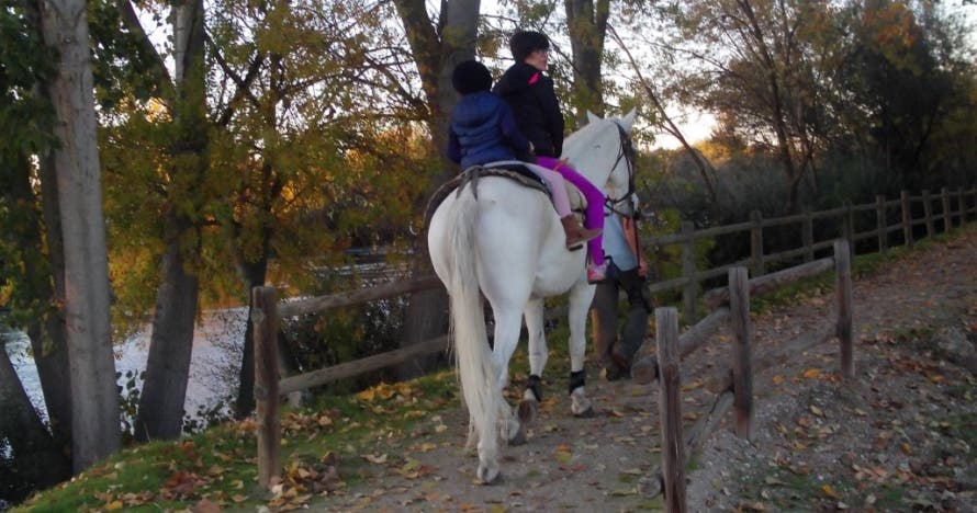 Ruta a caballo especial para niños en la naturaleza