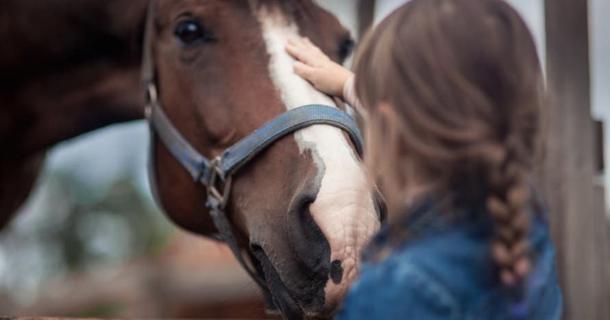 Ruta a caballo especial para niños en la naturaleza