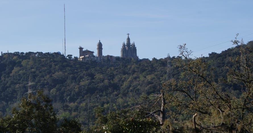 Buenos días Barcelona - Senderismo por Collserola