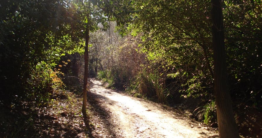 Buenos días Barcelona - Senderismo por Collserola