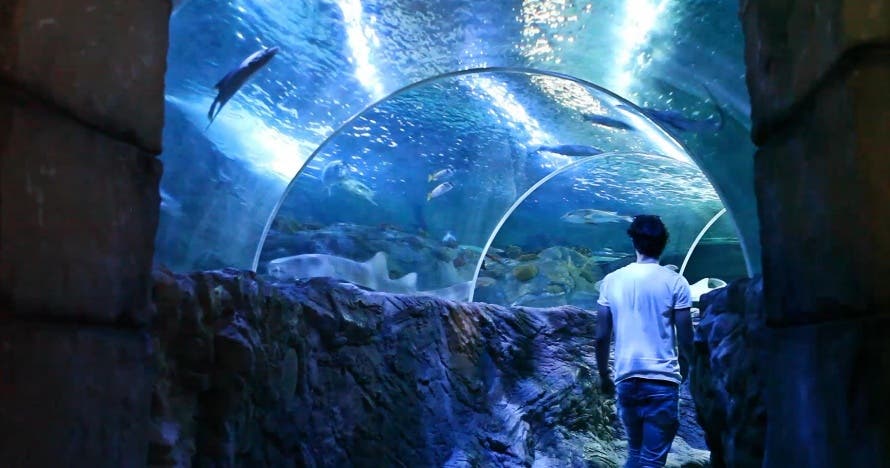 Sea Life Benalmádena