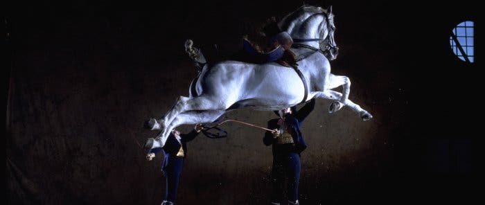 Cómo bailan los caballos andaluces, en Jerez