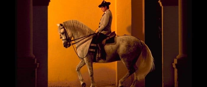 Cómo bailan los caballos andaluces, en Jerez