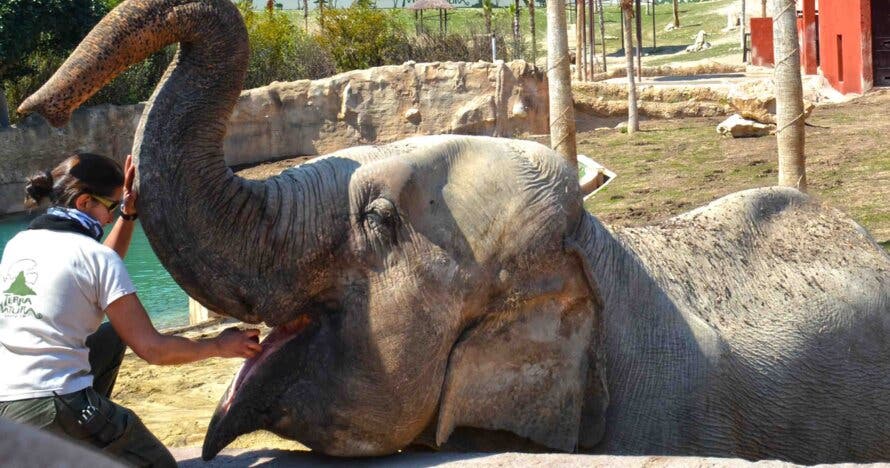 Terra Natura Benidorm