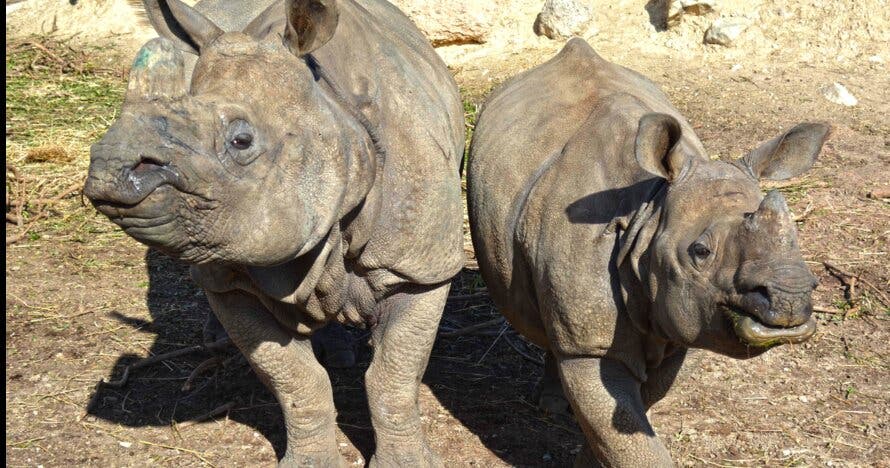 Terra Natura Benidorm