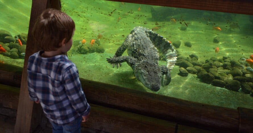 Terra Natura Benidorm