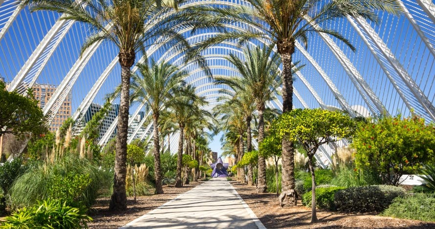 Ruta Park, la zona más verde de Valencia en Segway