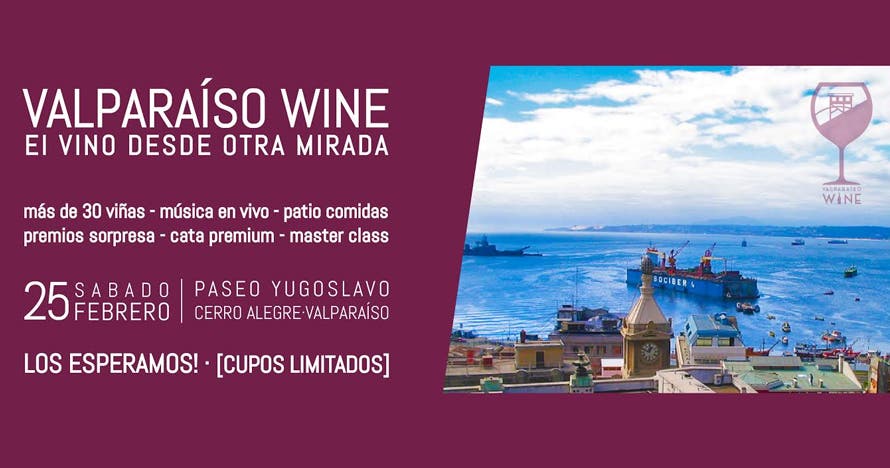Valparaiso Wine El Vino Desde Otra Mirada