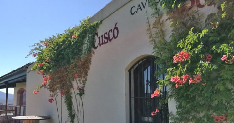 Descubre la magia del vino y el cava: cata premium con aperitivo