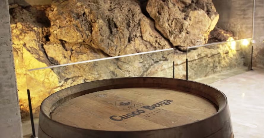 Descubre la magia del vino y el cava: cata premium con aperitivo