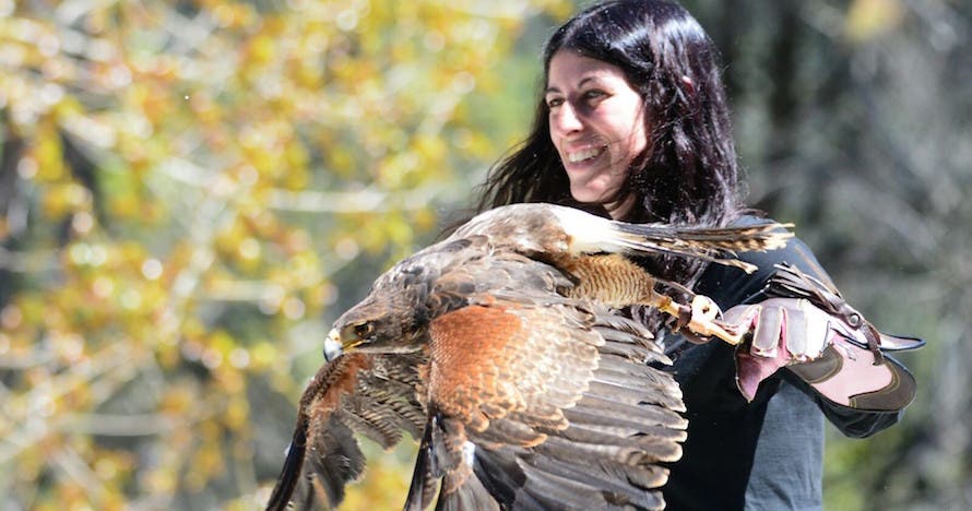 ¡Vuela a un águila! ¿Te atreves?