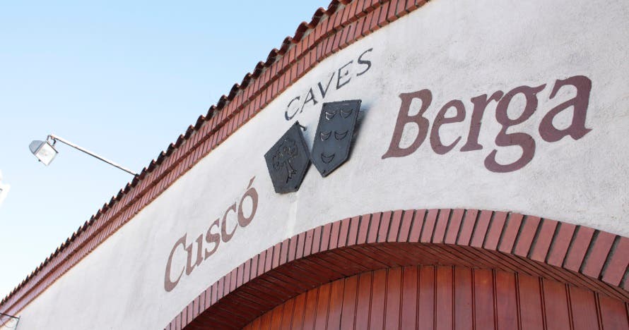 Cata de vinos km0 en la bodega: descubre la magia del vino y el cava