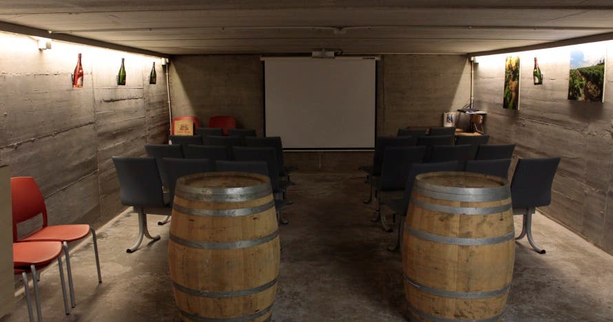 Cata de vinos km0 en la bodega: descubre la magia del vino y el cava