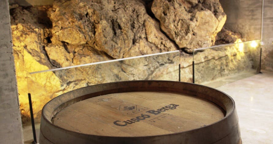 Cata de vinos km0 en la bodega: descubre la magia del vino y el cava