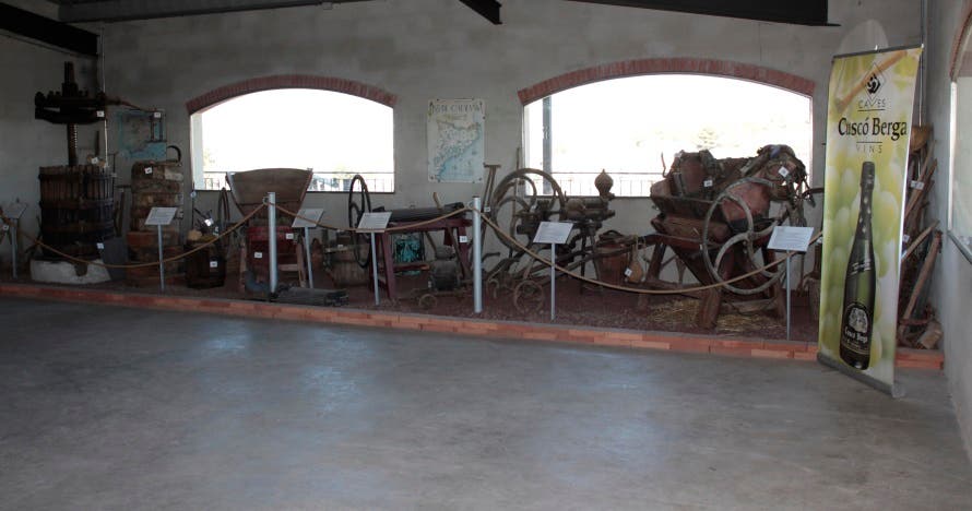 Cata de vinos km0 en la bodega: descubre la magia del vino y el cava