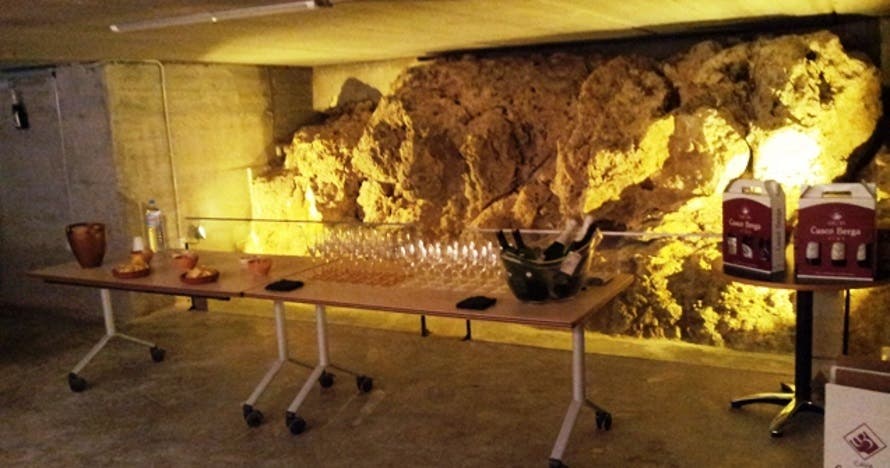 Cata de vinos km0 en la bodega: descubre la magia del vino y el cava