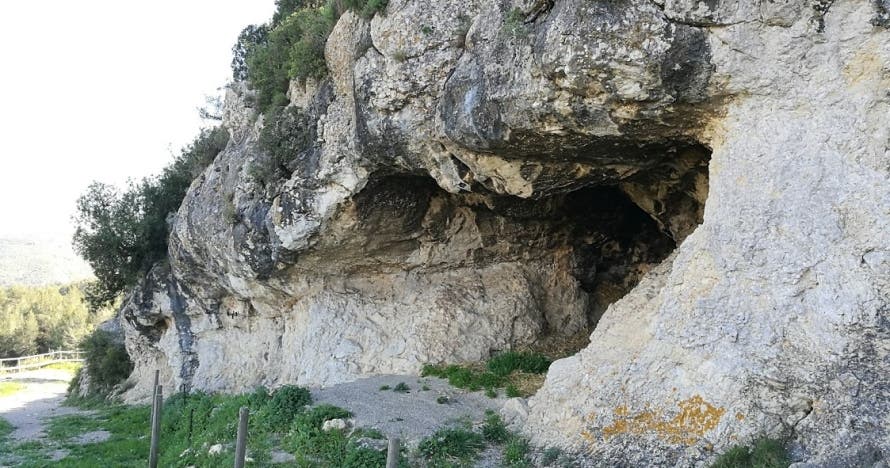 Cata de vinos km0 en la bodega: descubre la magia del vino y el cava