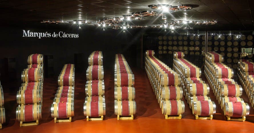 Experiencia VIP: Descubre el secreto de las Bodegas Marqués de Cáceres