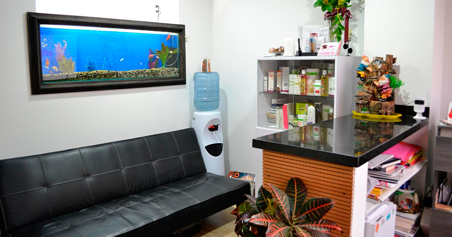 Elimina la tensión con un masaje terapéutico - Sede Chicó Norte