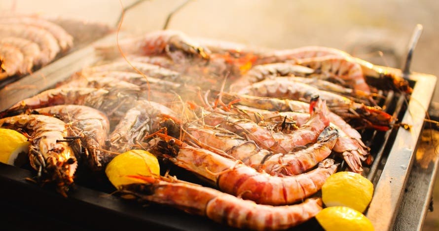 Excursión Tast de Mar y Gambas