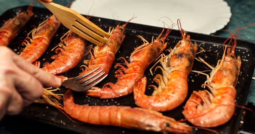 Excursión Tast de Mar y Gambas