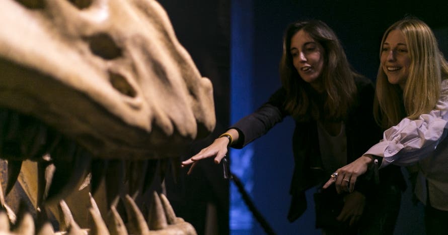 Game of Thrones: The Touring Exhibition