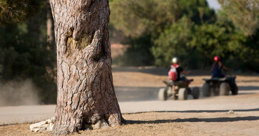 Excursión en quad sin carnet: ¡Descubre la adrenalina sobre ruedas!