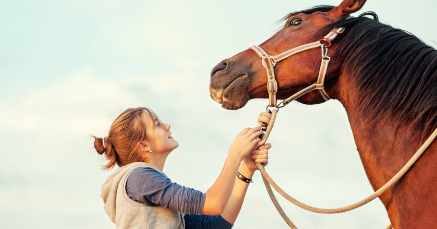 Descubre la naturaleza a caballo. ¡Una experiencia única!