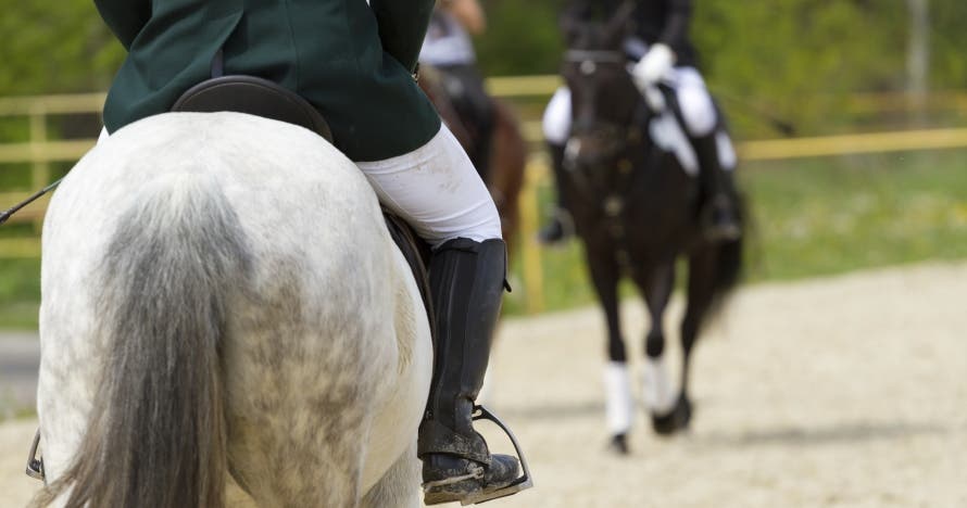 Descubre la naturaleza a caballo. ¡Una experiencia única!