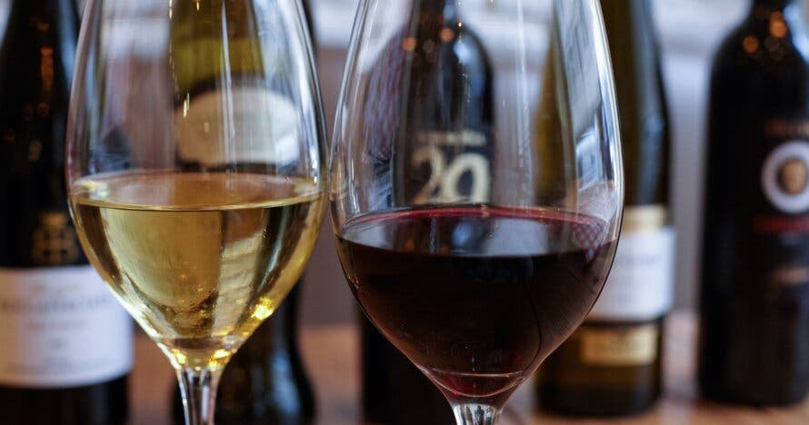 Experiencia Gourmet: Vinos y Quesos Italianos Premium en cata