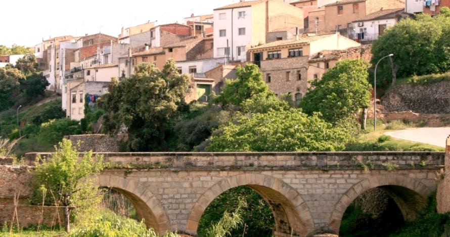 La 15ª Festa de la Clotxa a La Serra D'Almos
