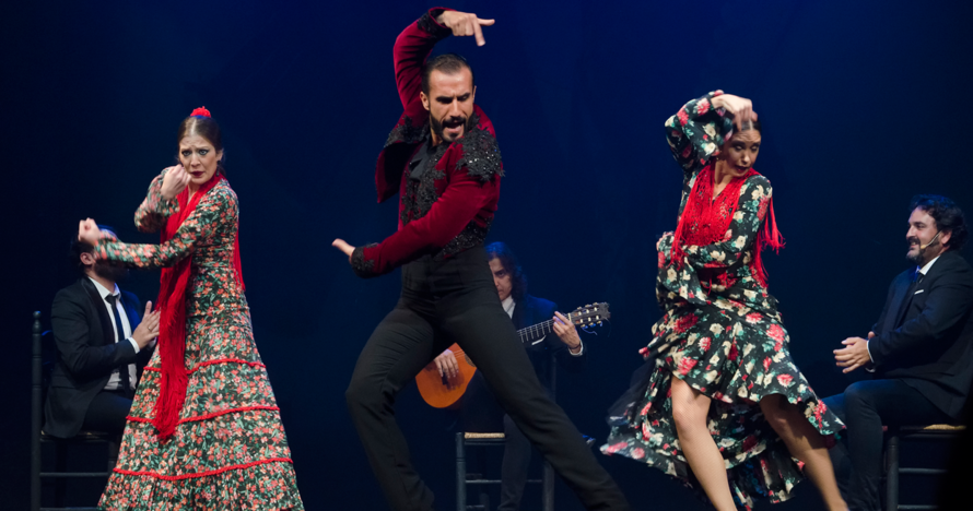 Emociones - Espectáculo flamenco