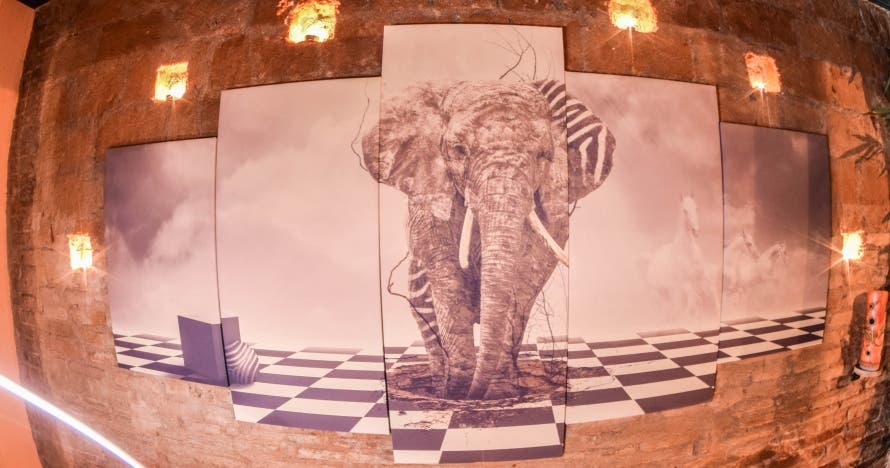 Experiencias sensoriales exclusivas: relájate y desconecta