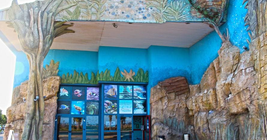 Aquarium Costa de Almería